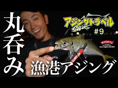 《 アジングトラベル vol.9 》爆釣アジングの一部始終！漁港のジグ単スロー攻めで丸のみバイト続出
