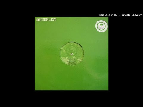 Ciudad Feliz - Research 2003