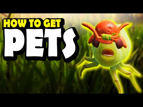 How to get PETS in GROUNDED