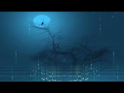 Houssem Amari & Amelie Martinez  Por Ti Original Mix