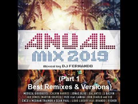 Anual mix 2019- Dj Fernando (Part 1 Best Remixes & Versions)