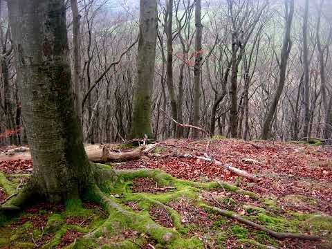 Reuberg und Winzenburg
