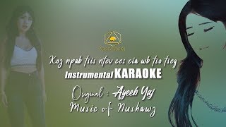 Download lagu Karaoke Koj npab tsis ntev ces cia wb tso tseg, Original Abyeeb Yaj mp3