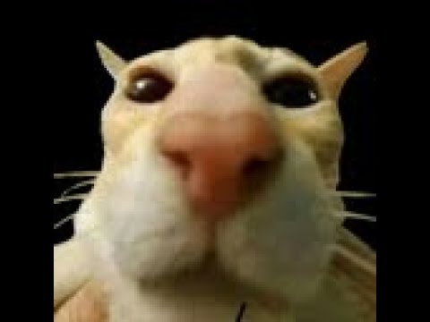 relax osu 8*  as a 300k (ICDD Song Compilation)