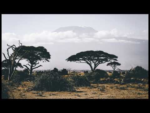 Chris Andreus - A Sea of Afro Beats