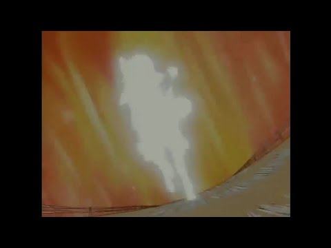 Ponyta evolves into Rapidash | Pokemon