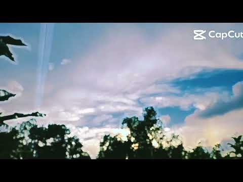 ✨💫#nature #flowers #reels #beautiful #shortvideo