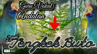 Download lagu Tengkek Buto Durasi 2 Jam || Dengan Jeda Anti Stres Masteran Burung Terfavorit mp3