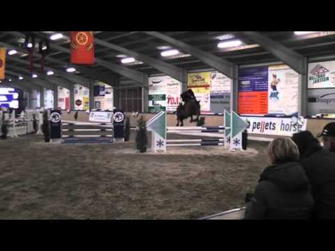 Lord Pezi Junior v. Lord Pezi - Quattro, Turnier Werlte 2013 - Böckmann Pferde