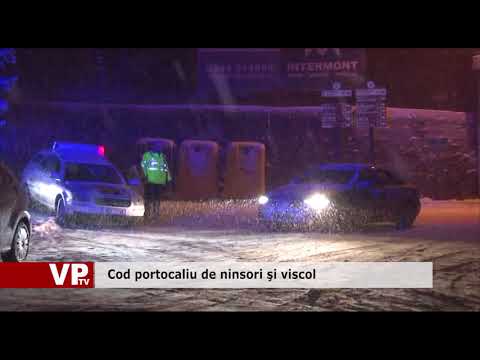 Cod portocaliu de ninsori și viscol