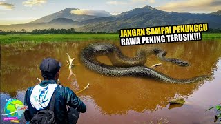 Download lagu The True Story of a Fisherman Encountering a Giant Snake in Rawa Pening! The Snake Could Speak an... mp3 Download lagu The True Story of a Fisherman Encountering a Giant Snake in Rawa Pening! The Snake Could Speak an... mp3