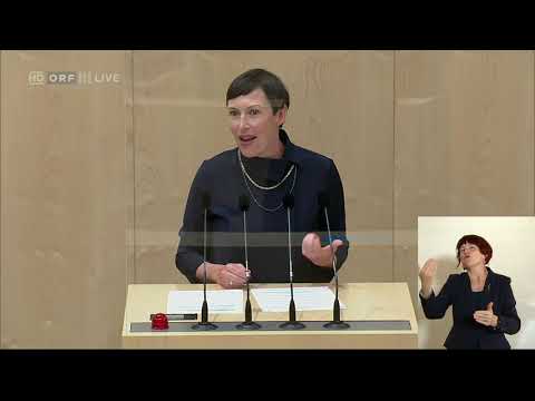 "Das Familienbild der ÖVP ist in den 50ern hängen geblieben!" - Henrike Brandstötter