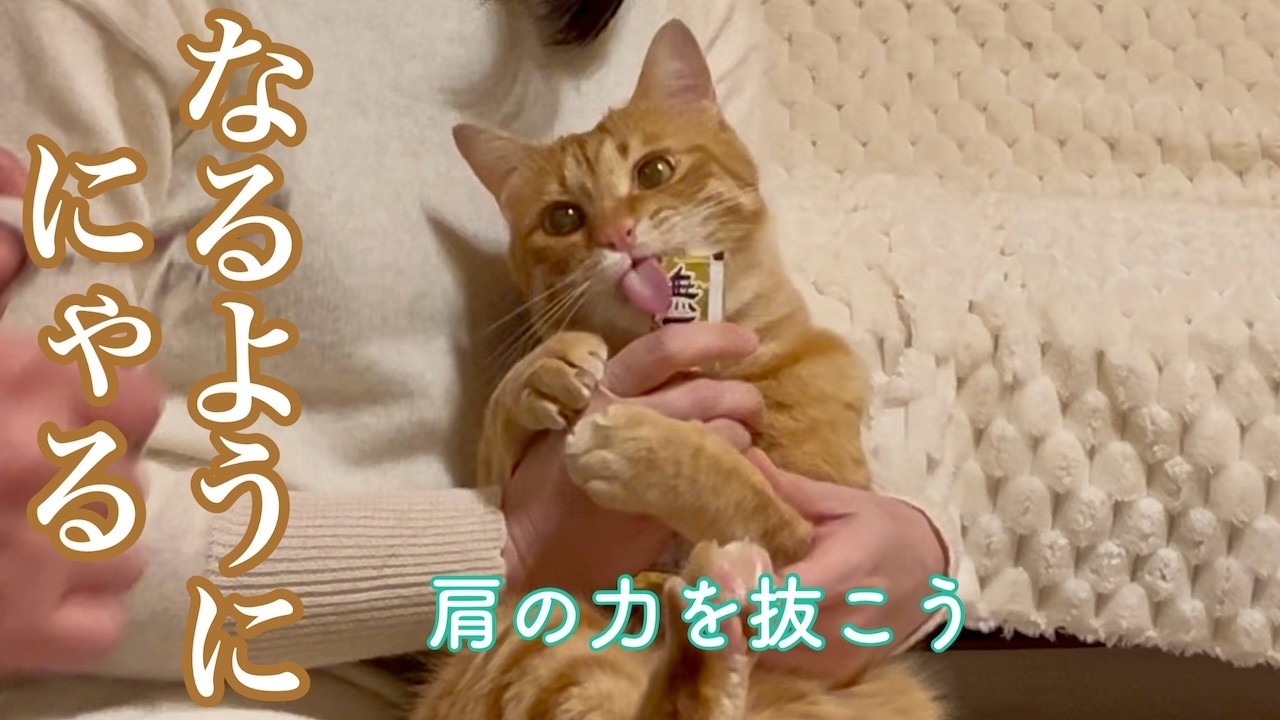 「自分らしく生きていいよ」猫が伝えてくれたこと