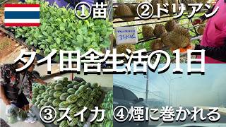 【タイ田舎風な日】タイ人母+タイ人夫&日本人嫁の①苗買う➡②ドリアン買う➡③スイカ買う➡④最後は煙に巻かれた日【タイ北部メーソート】