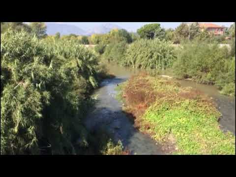 CINGHIALI A SPASSO DOMENICA MATTINA LUNGO IL FIUME SABATO