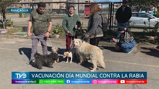 Día Mundial contra la Rabia: En Rancagua se realizó vacunación antirrábica