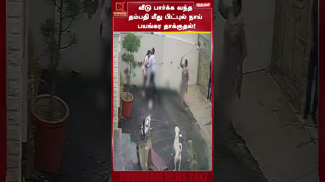 வீடு பார்க்க வந்த தம்பதி மீது பிட்புல் நாய் பயங்கர தாக்குதல்! Pit Bull | DOG | Kumudam News #shorts வீடு பார்க்க வந்த தம்பதி மீது பிட்புல் நாய் பயங்கர தாக்குதல்! Pit Bull | DOG | Kumudam News #shorts