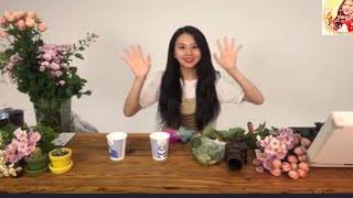 【TWICE】VLIVE   の挨拶をするチェヨンちゃんが、可愛いすぎる！