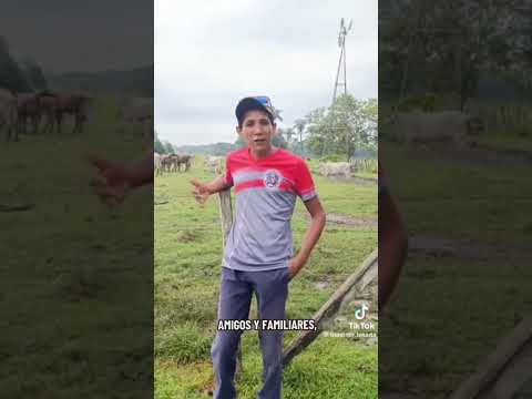 la verdad del profesor de Sosa Barinas