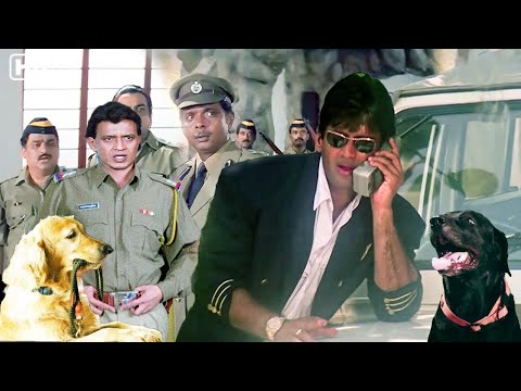 मिथुन चक्रवती सुनील शेट्टी की ब्लॉकबस्टर धमाकेदार हिंदी मूवी | Sunil Shetty | Mithun Chakraborty