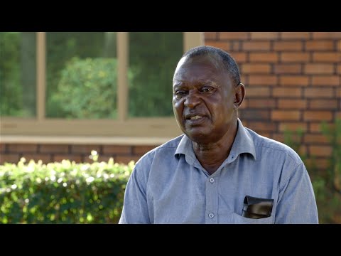 Shamba Shape Up Series 1 - Ep 21(UG): Dairy Cow, Silage, Tomato, Intercropping & Vegetables(Luganda)