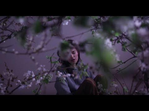 NEVER SOL - Roza (Official Video)