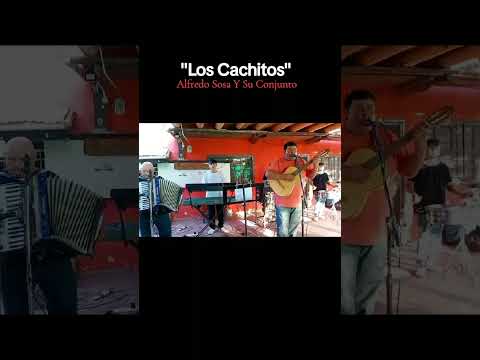 Alfredo Sosa y Su Conjunto - rincón de los olivos