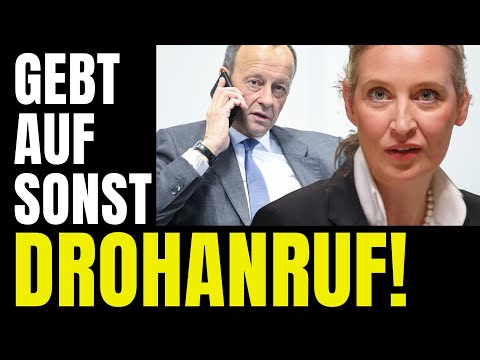 UND PLÖTZLICH RUFT MERZ AFD AN! 🚨 ALICE WEIDEL IN BESTFORM! 🚨 AFD SZENE GEHT GERADE AUF X VIRAL