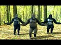 Bara Bere MUSIC Dancing Gorillas