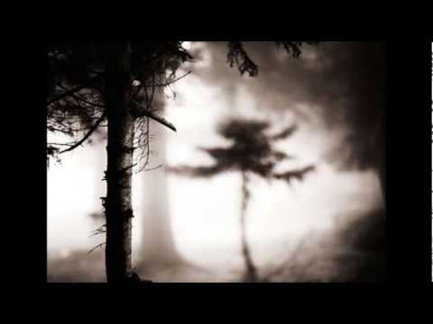 George Winston ~ Forbidden Forest