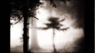 George Winston ~ Forbidden Forest