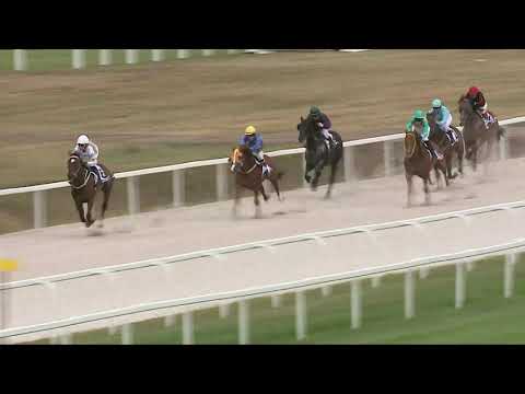 2021.08.29. 08. futam - KINCSEM ISTÁLLÓ UDVARHÁZ HENDIKEP (V.o.) (szintetikus pálya)