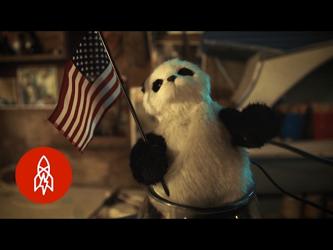 Quintron: The Sunrise Sessions