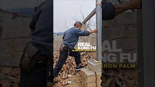 Download lagu REAL Kung Fu Power 💥 Vajra Fist & Iron Palm TESTED mp3