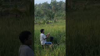 Download lagu mancing cantik mp3 Download lagu mancing cantik mp3