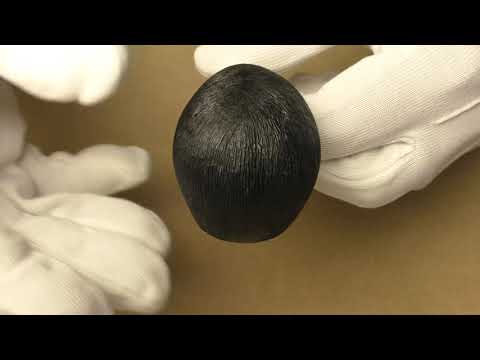 L'Anatra Pettinata - pipe 537