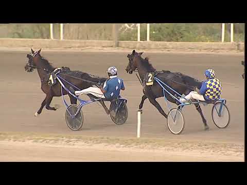 Napoli Trotto 19/09/2023 - 8ª corsa