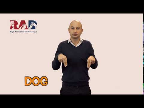 How to Sign Dog in BSL