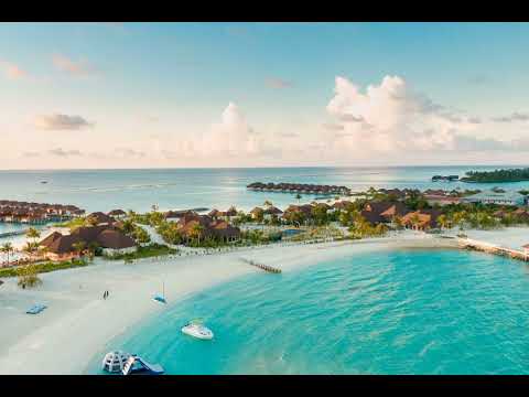 SAINt JHN Feat. Lenny Kravitz - Borders