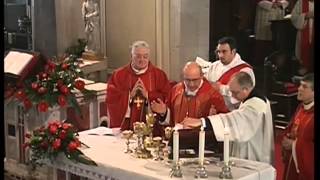 preview picture of video '16/03/2013 - S. Messa nella solennità dei Ss. Patroni di Gorizia - Presiede mons. Carlo Redaelli'
