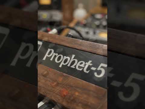Sequential Circuits Prophet-5 Vintage Analog Polyphonic Synthesizer – Excellent Condition image 5