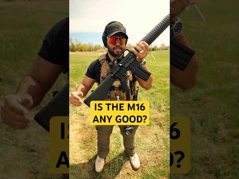 Old Marine Corps Battle Rifle! Is It Good?