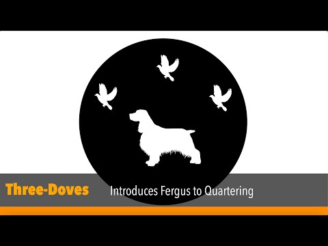 Introducing Fergus to Quartering