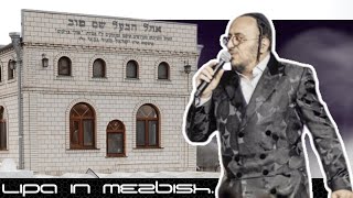 ליפה שמלצר עבור שבווש במזביש 🔥