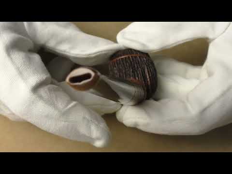 Amorelli Penna di San Michele *** - pipe 350