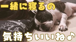 １時間もお散歩したらクタクタになりました😂