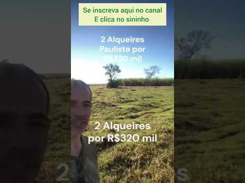 Sítio de 2 alqueires em Américo de Campos 320 mil #brasil #mercadoagricola #gado #sitio #agro