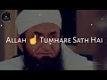 Tariq Jameel Status Maulana Tariq Jameel Whatsapp Status