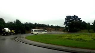 Dragonfly Across an Ancient Sky