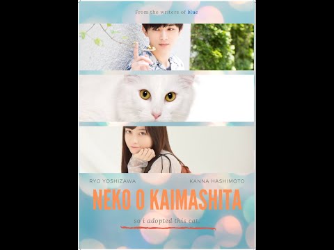 ryo yoshizawa x kanna hashimoto (ryokan) crossover- nakitaikurai 🌓